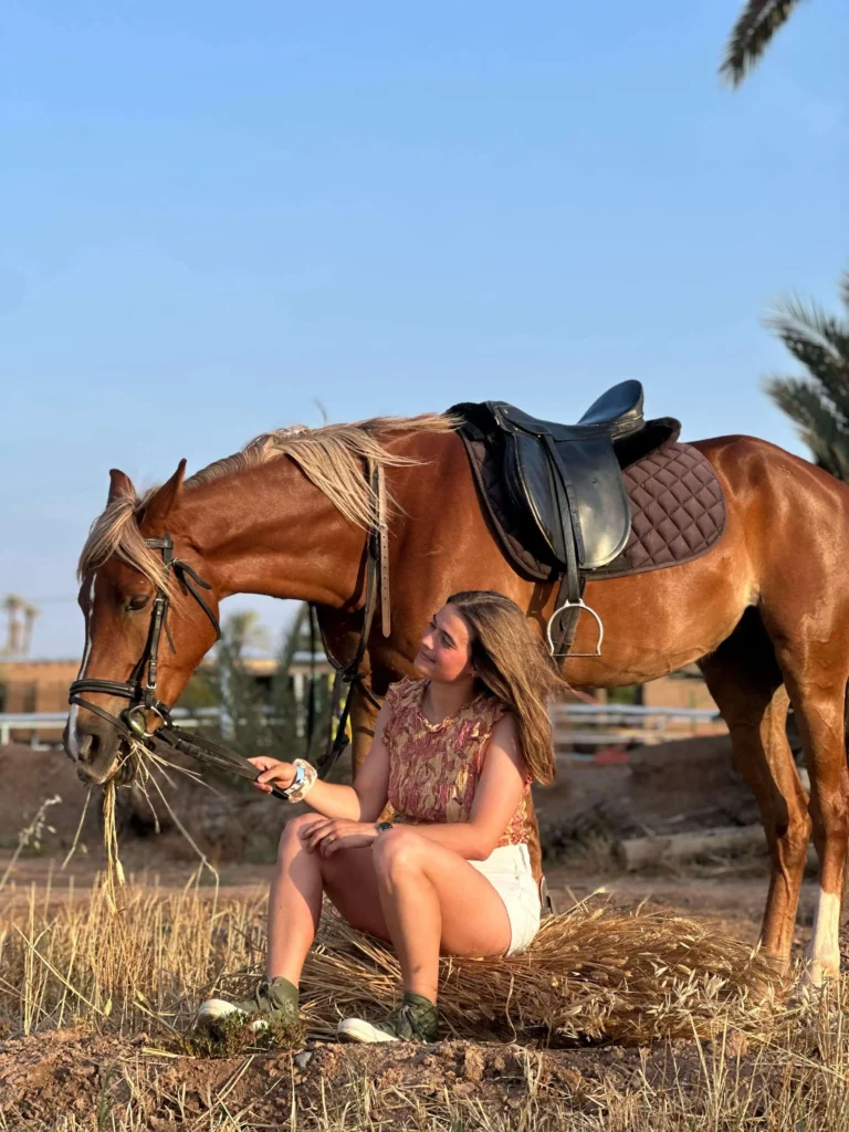 Why Arabian Horses Are Perfect for Horseback Rides in Morocco